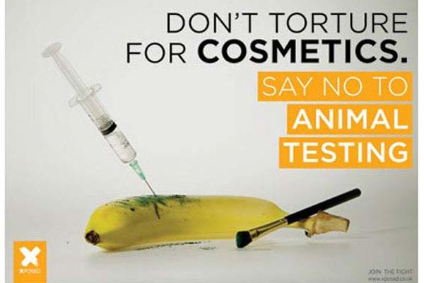 Graphic design degree course student artwork - "Don't torture for cosmetics" - banana with needle and make-up brush