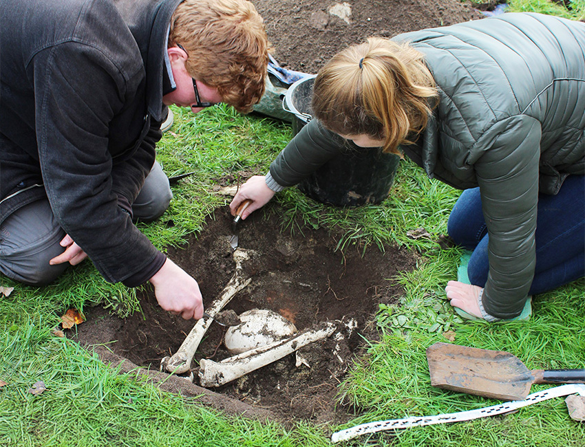 Two students excavating plastic human bones