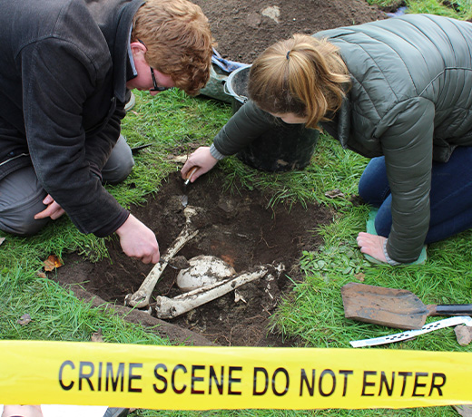 Two students excavating human bones on a simulated crime scene