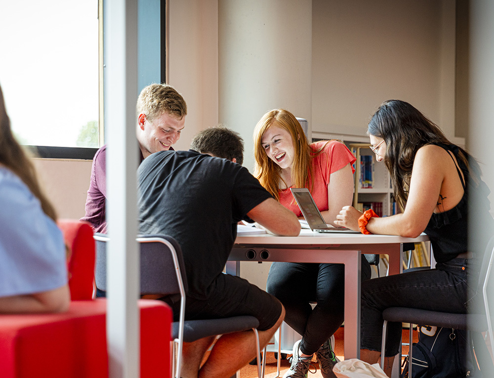 Study group in the Hive library