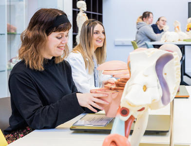 A student working with an anatomy model