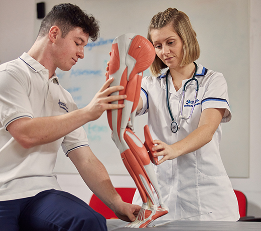 Physiotherapy students working with a model of a leg