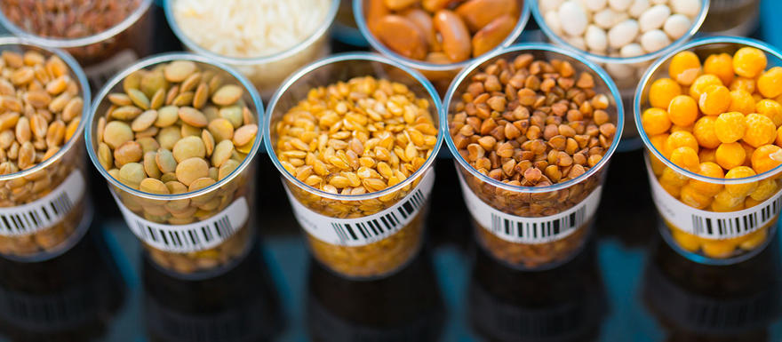 A selection of whole foods in pots.