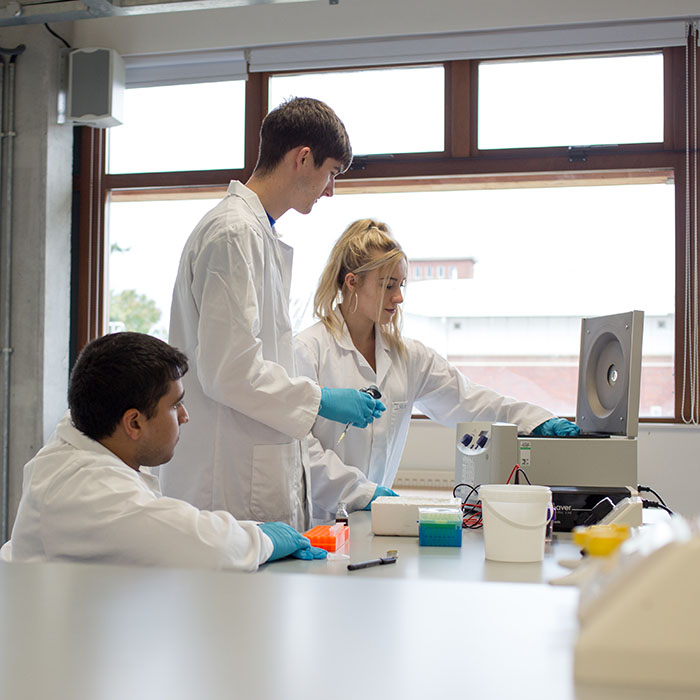 A group of students are working in a lab