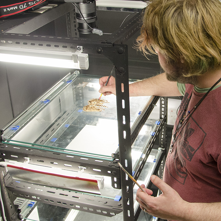 Student hand-paints animation cell on light box